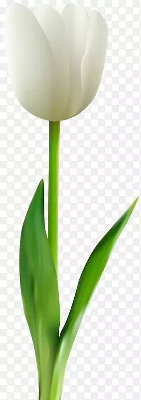 �����㻨������-������-������