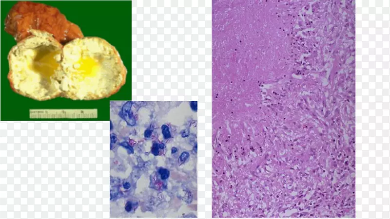 ޹�²����������л���-���-������