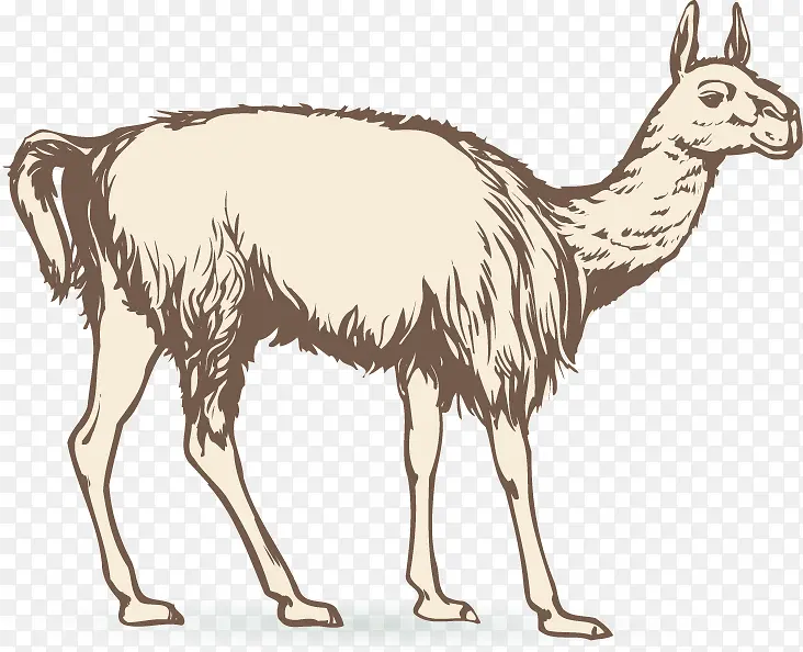 ������-������