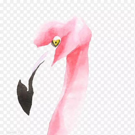 ������ˮ�ʻ���ͼ.������-������