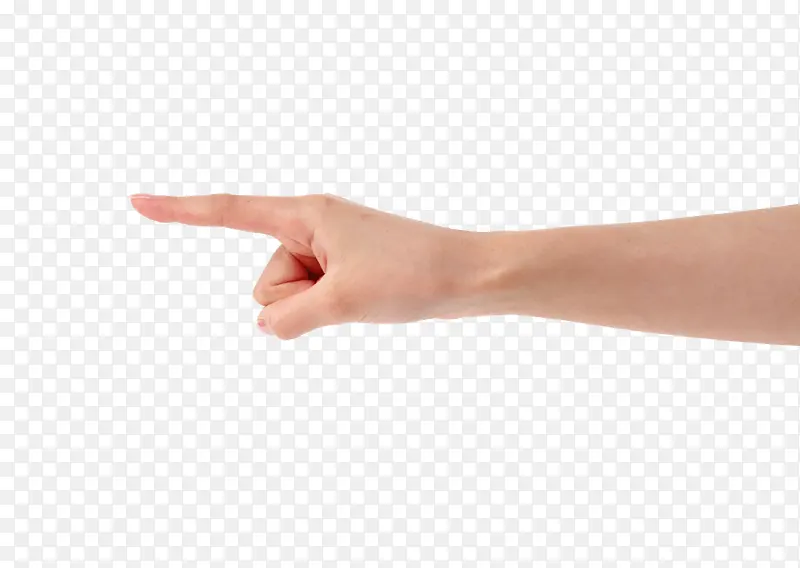 ָ������-������