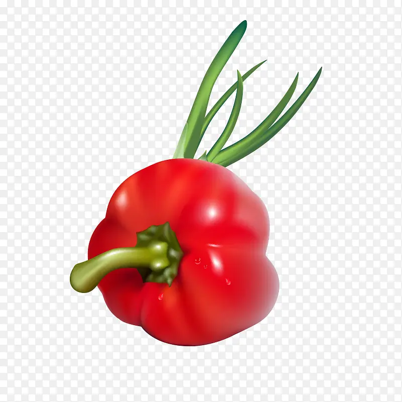 ��ͨʳ���߲˵�����-������