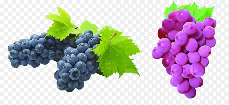 ����-������