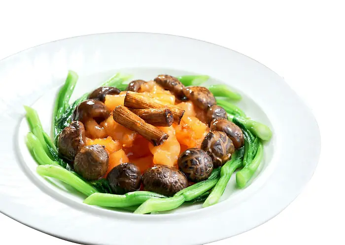 ����ţ��-������