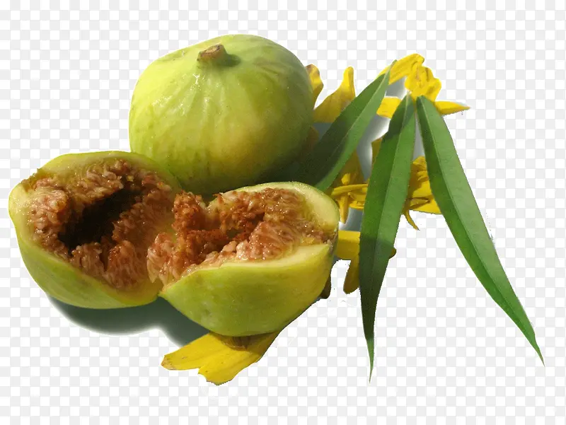 �޻���-������