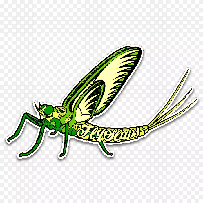 ������ֽ��Ӭ��ǽ��ֽ-���׿�-������