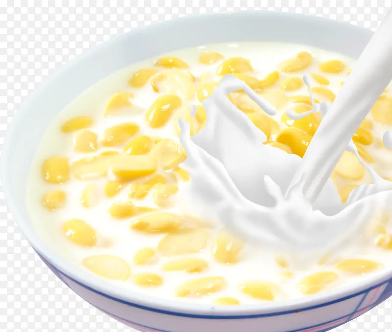 ���� ʳ�� ����-������