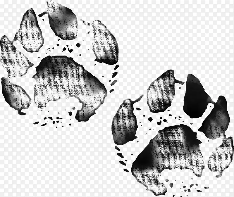 Ư����ɫ�����ӡ-������