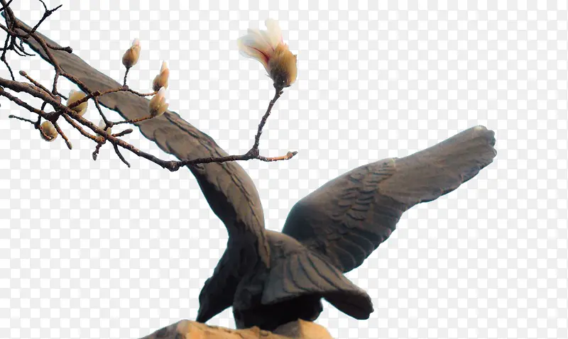 ��֦����ѻ-������