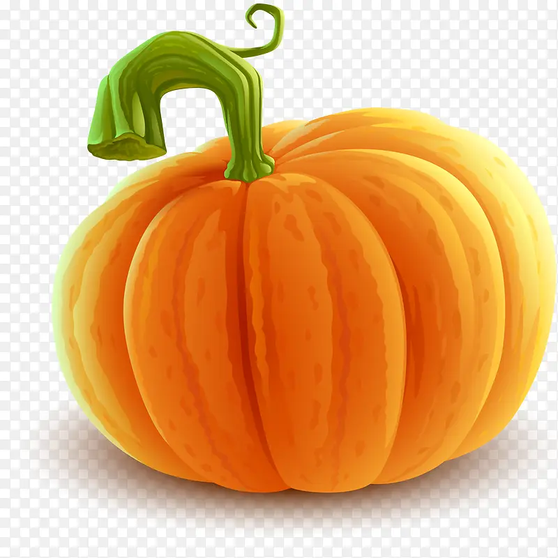 ��ɫԲ���Ϲ�ʳ��Ԫ��-������