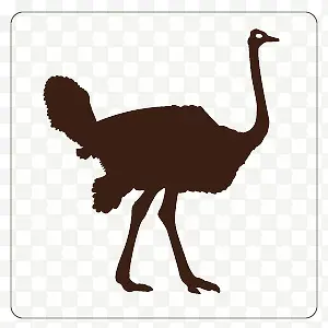 ���ߵ�����-������