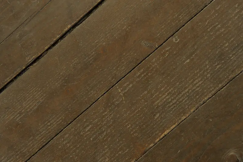 ��϶ľ�屳��-������