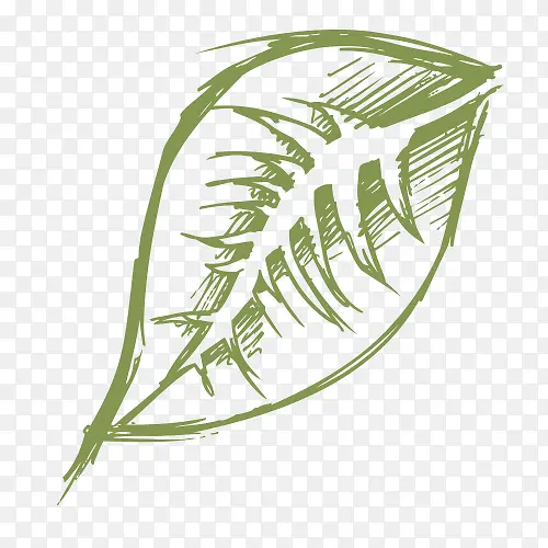 �ֻ滨��Ҷ��ϵ��-������