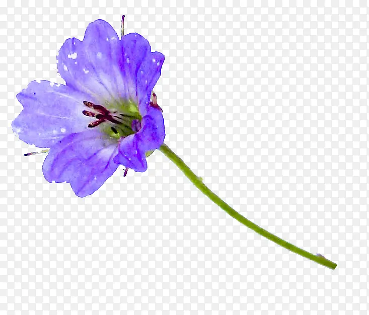 �Ƽ������ز������ز�-������