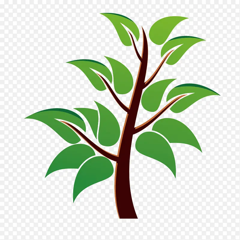 ��ɫֲ����ľ����-������