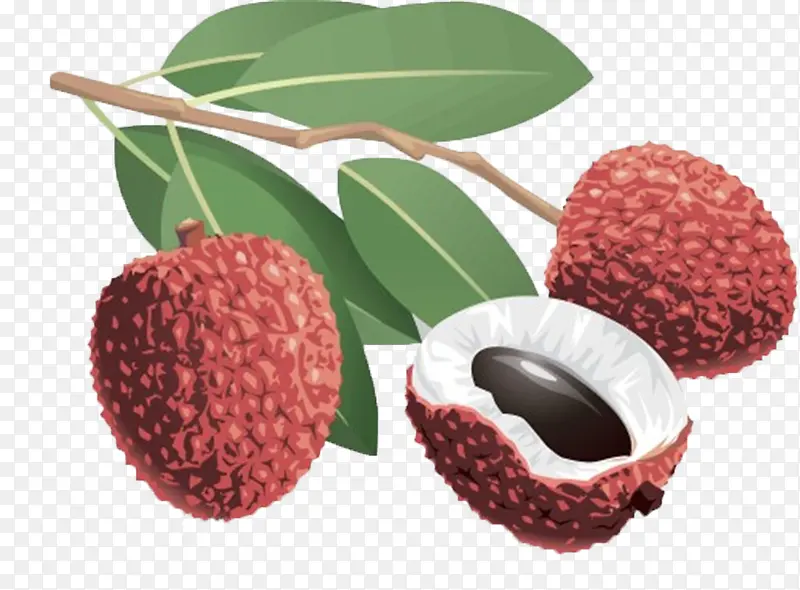 ��֦��ͨˮ��-������