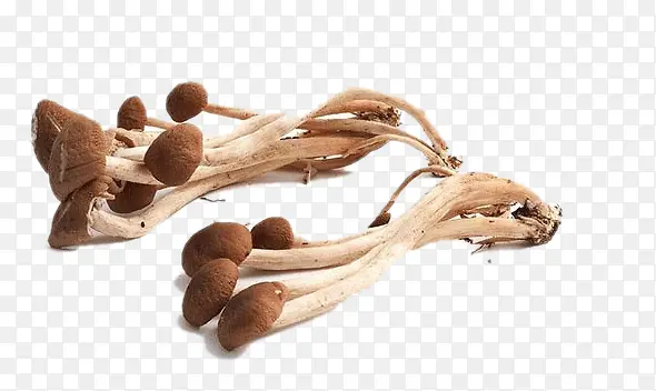 ��Ʒʵ�������-������