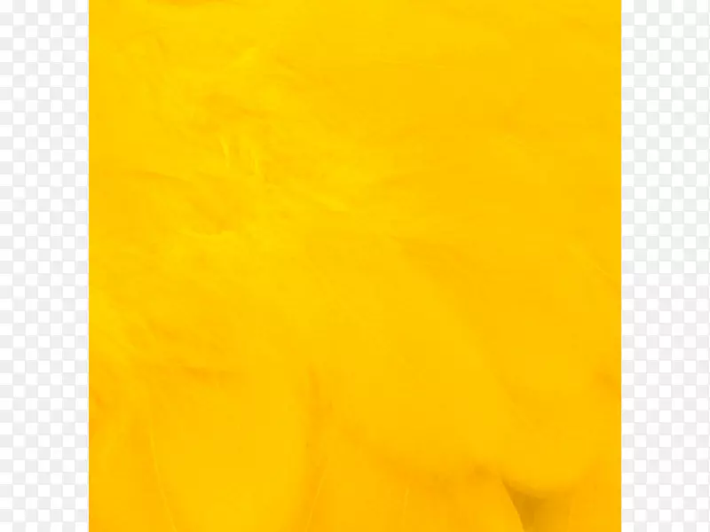 ����ĸ��-������