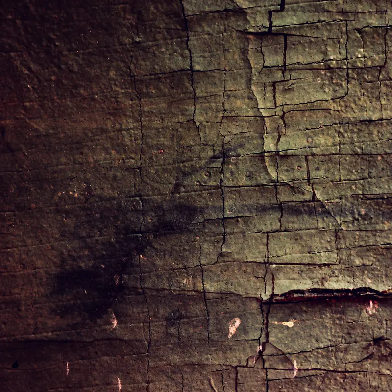 �ƾ�ǽ�ڱ���-������