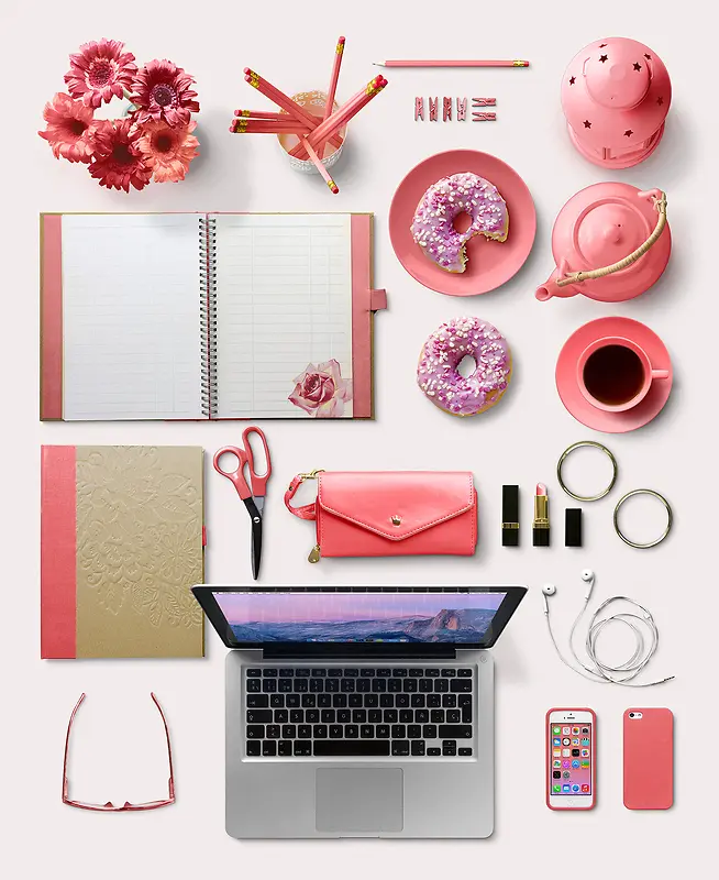 ��ɫ��Ʒ�ջ����ʼǱ�-������