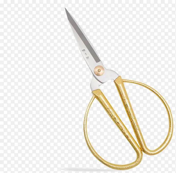 ��ɫ����-������