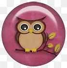 èͷӥ��ť-������