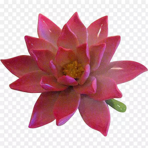 ���꿪��ֲ��ˮ��ֲ��.�ֻ�-������