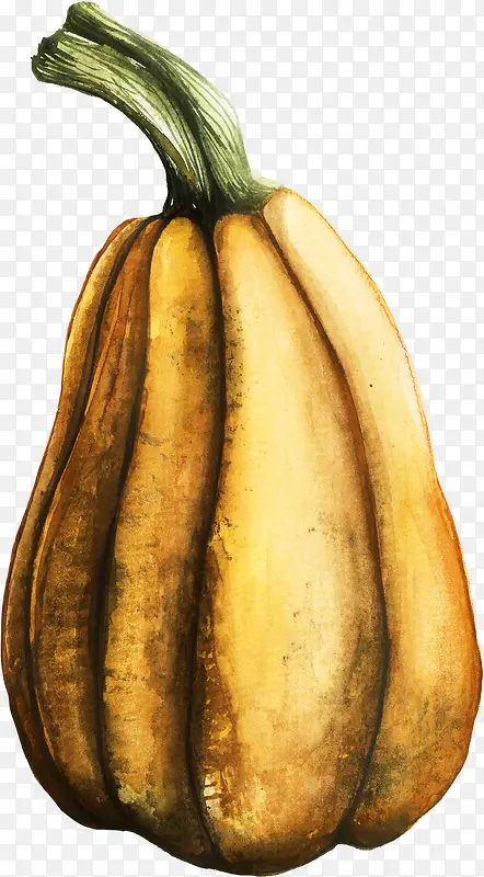 ��ɫ�ֻ���Ϲ�ʳ��-������