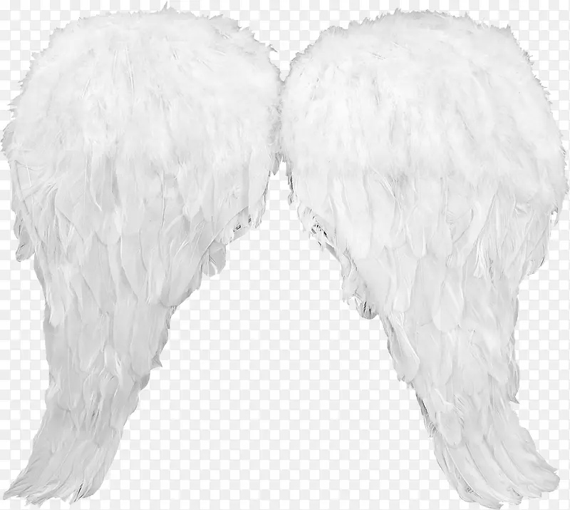 ��ɫ���-������