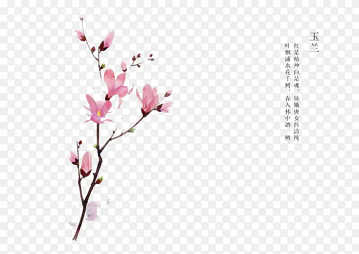 �ֻ滨��-������