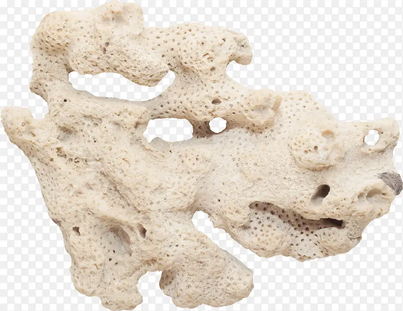 ��ɫ����ɺ��-������