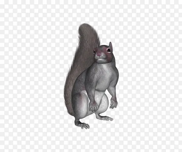 �ɰ�С����-������