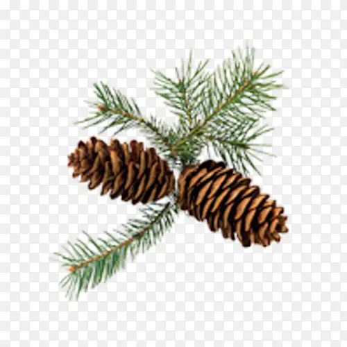 ����ʵ��-������