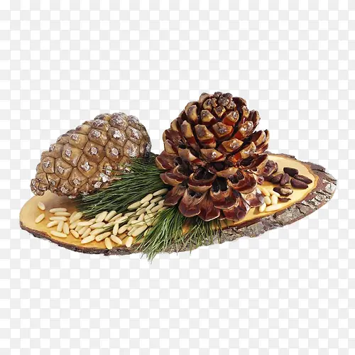 ��ɫ����-������