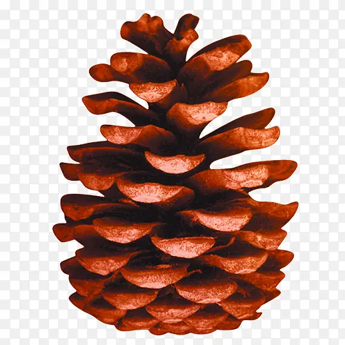 ��ɫ����-������