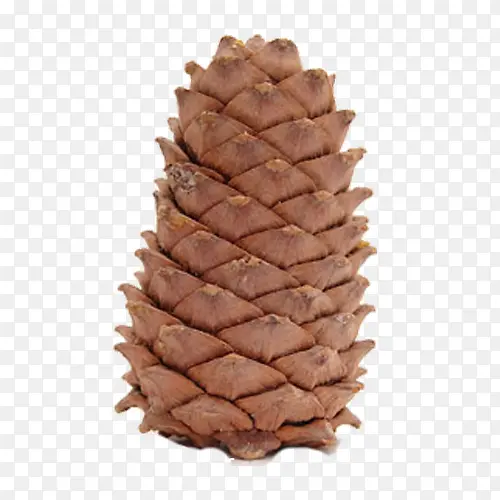 ����ʵ��-������