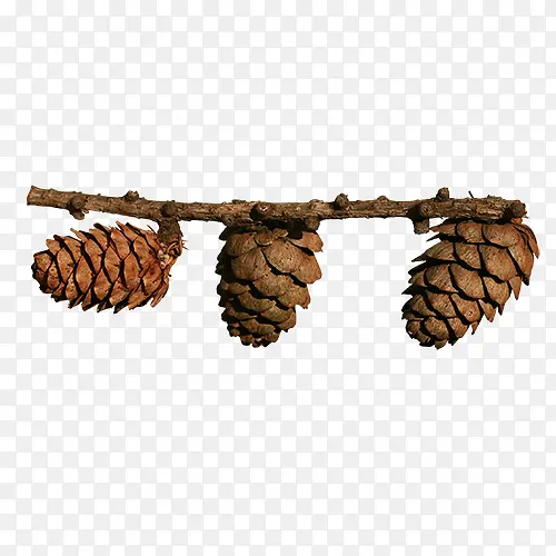 ����ʵ��-������