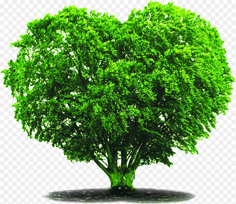 ������ʽ��ɫ����-������