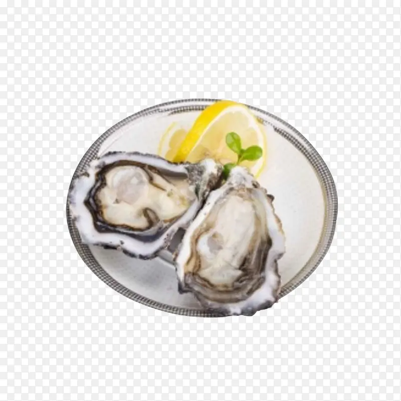 �ʻ�������̫ƽ�����-������