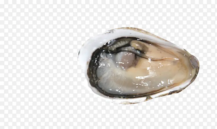 ���ʲ������-������