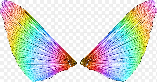 ��ɫ���-������