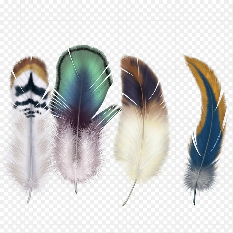 ��ɫ��ë-������