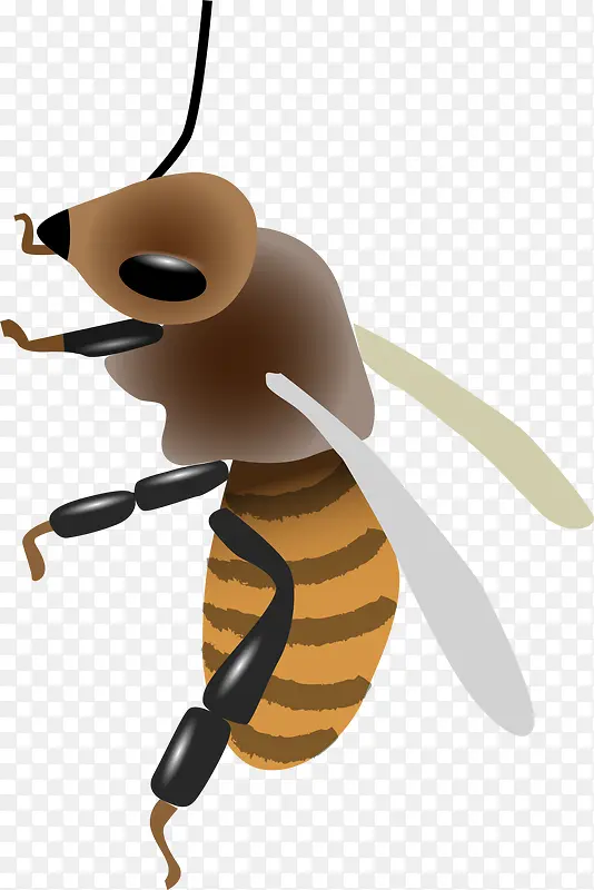 ����ɫ��ͨ�۷�-������