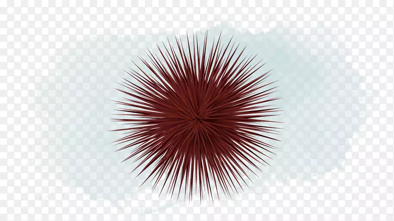 �����ֽ��д������յ��Ա�ֽ����-������