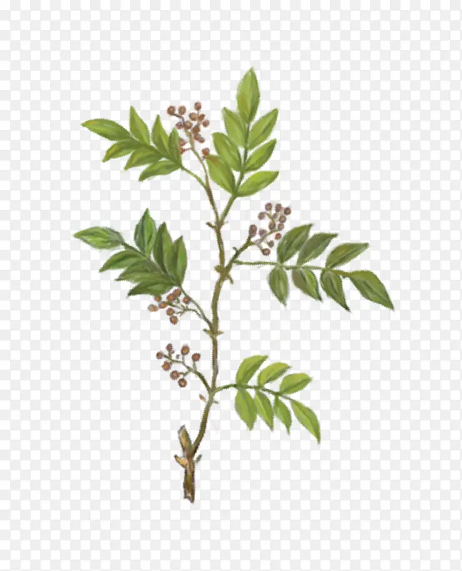 ��滨����-������