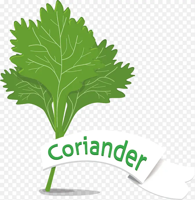 ��ɫ����߲�ʸ���ز�-������