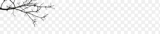 ����֦Ψ���ز�-������