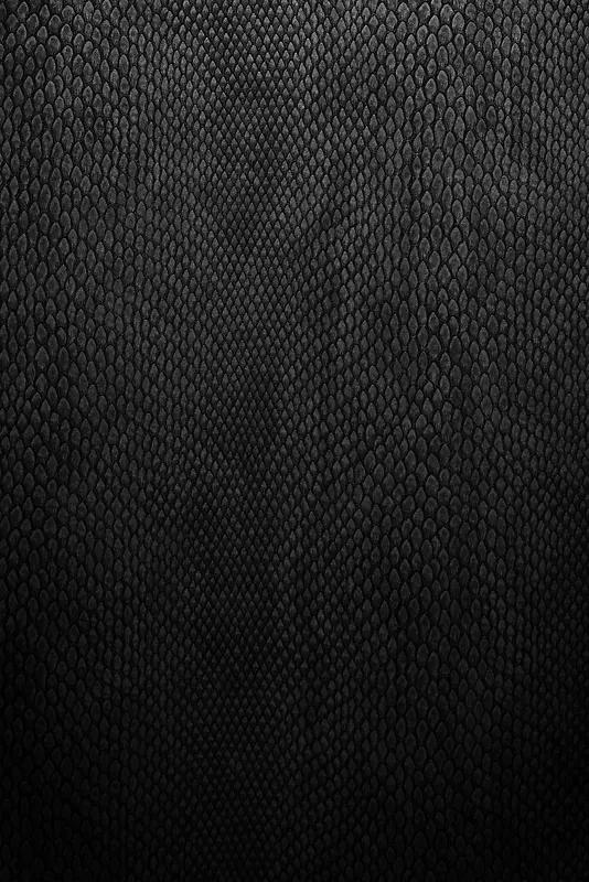 ��ɫ��Ƥ����-������