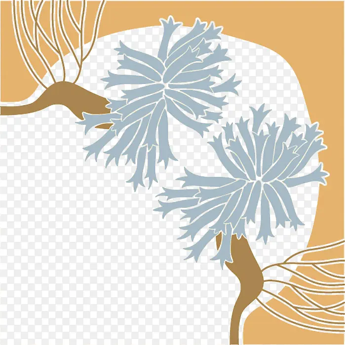 �ǶԳ�ͼ��-������