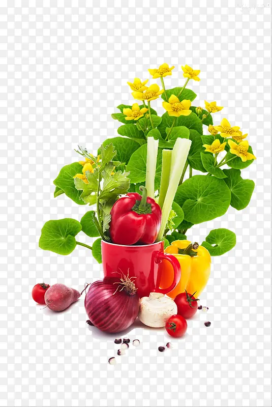 ��ɫֲ����߲�-������